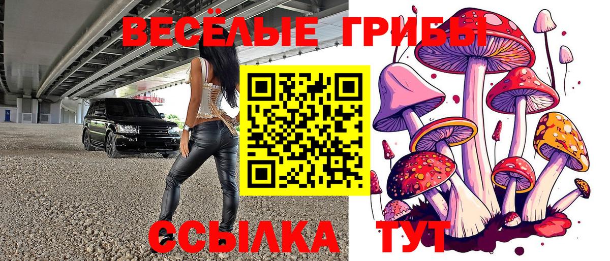 Псилоцибиновые грибы Psilocybine cubensis  Вход с VPN  Владикавказ 