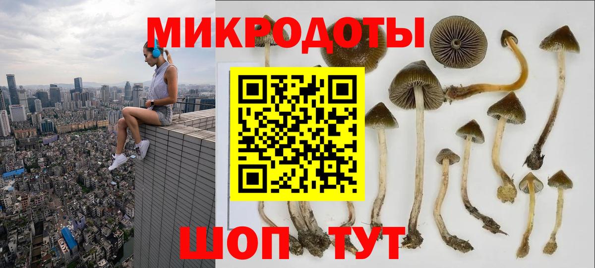 Alpha PVP СК   ГАШ  Кодеин  Меф МЯУ МЯУ кристаллы  МЕТАМФЕТАМИН  Каннабис  Вход с VPN  Владикавказ  Кокаин 